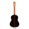 Calnova C1 Classical Guitar Solid Rosewood Back