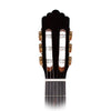Calnova C1 Classical Guitar Headstock & Ebony Fingerboard
