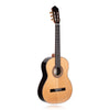 Calnova C1 Classical Guitar Solid Cedar Top Profile View