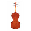 Lombardo Avance I viola solid back