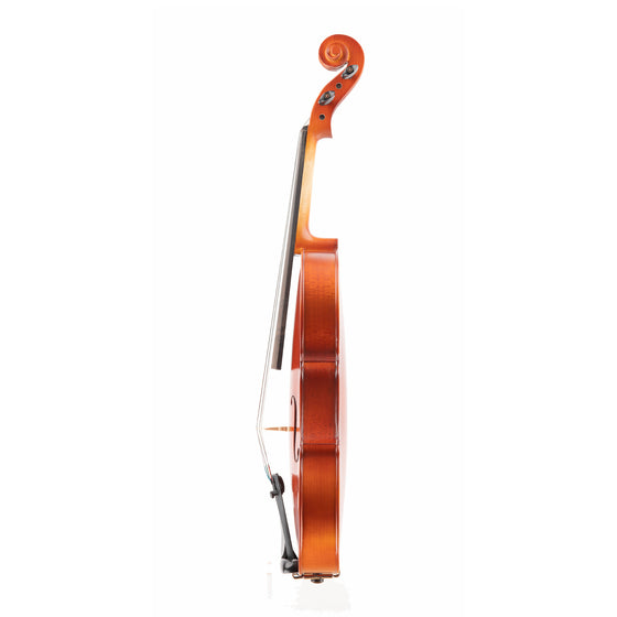 Lombardo Avance I viola solid side