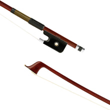  Forte Brazilwood Plus cello bass bow tip and fully-mounted Ebony frog front view, featuring octagonal stick, Nickel Silver winding, Parisian eye, Abalone slide and white horsehair
