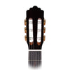 Calnova Classical Guitar A1 Headstock & Rosewood Fingerboard