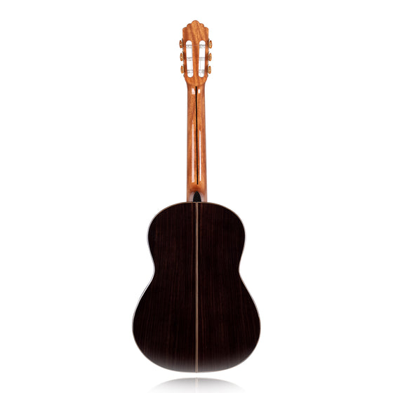 Calnova C1 Classical Guitar Solid Rosewood Back