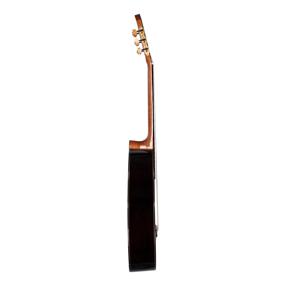Calnova C1 Classical Guitar Solid Rosewood Side