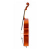 Lombardo Avance I Cello solid side
