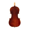Exquisitus Solo 35 Viola Back featuring Solid flamed Maple